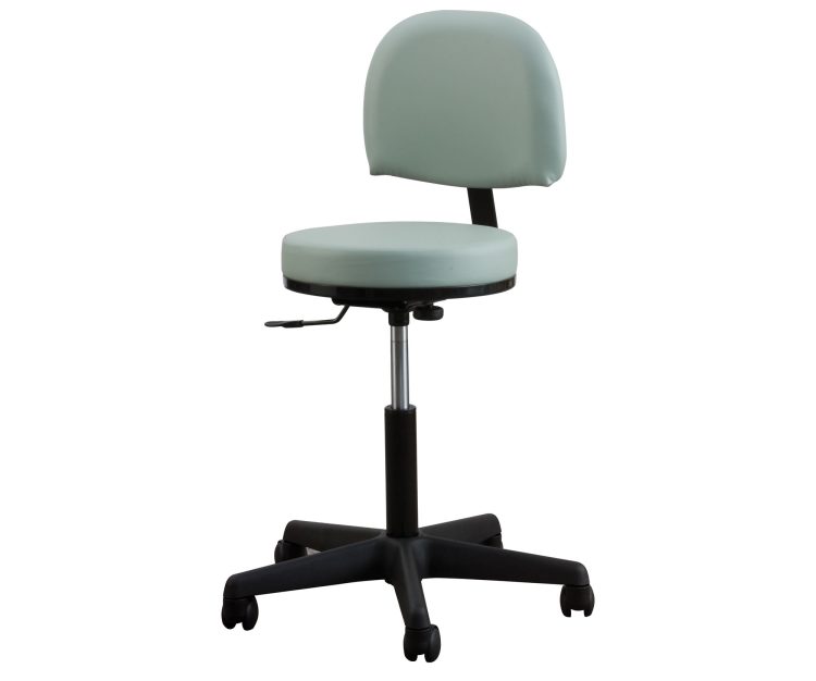 Premium Backrest Stool Low Height