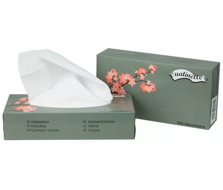 Spa Pro Tissue Box 100pcs