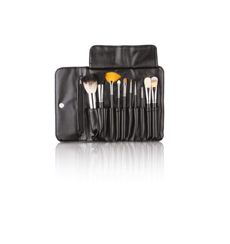 Spa Pro Make up Brushes Set 10pcs